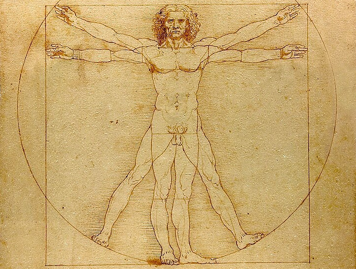 https://commons.wikimedia.org/wiki/File:Da_Vinci_Vitruve_Luc_Viatour.jpg