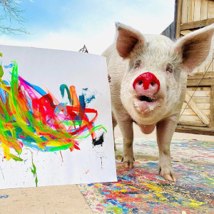 https://en.wikipedia.org/wiki/File:Pigcasso_with_painting.jpg