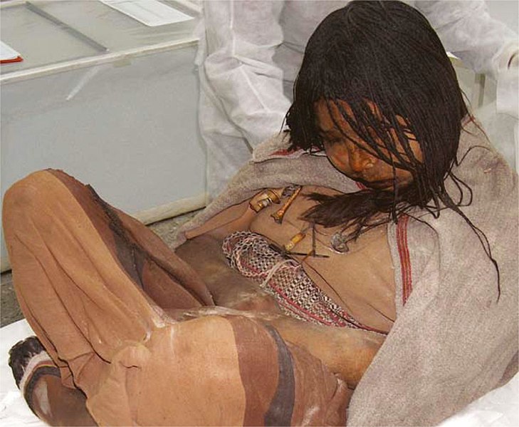 https://commons.wikimedia.org/wiki/File:Llullaillaco_mummies_in_Salta_city,_Argentina.jpg